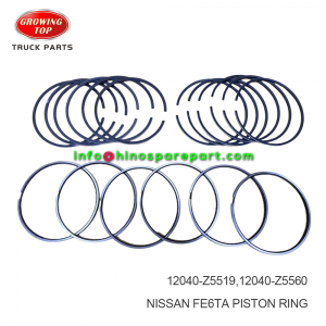 NISSAN FE6TA PISTON RING 12040-Z5519