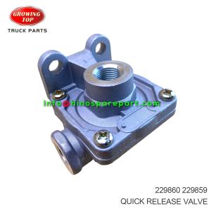 QUICK RELEASE VALVE 229860
