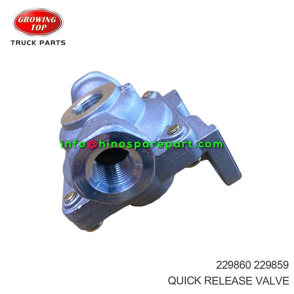 QUICK RELEASE VALVE 229860