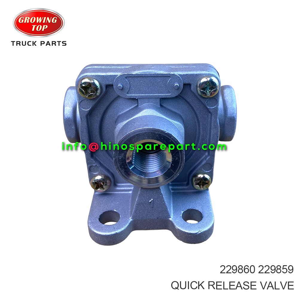 QUICK RELEASE VALVE 229860