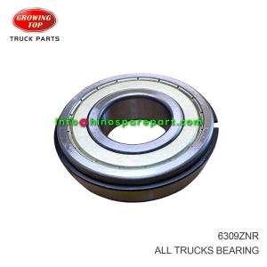 ALL TRUCKS BEARING 6309ZNR