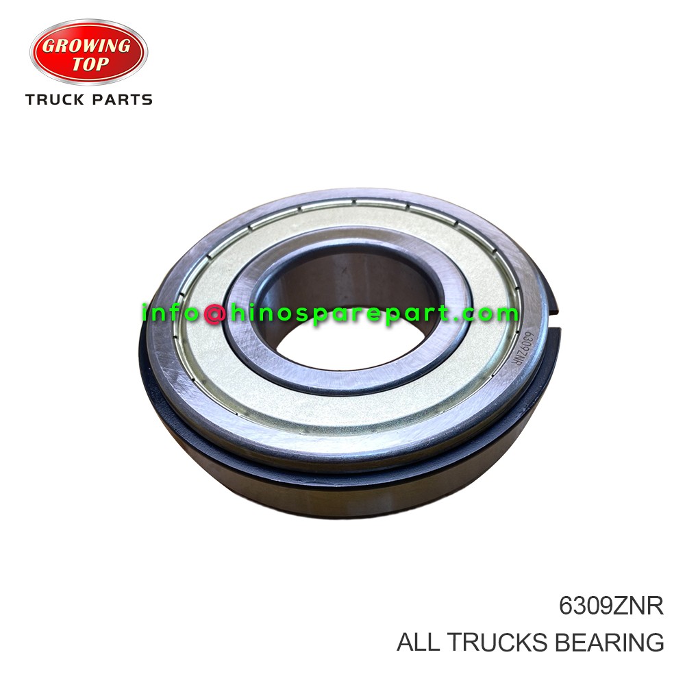 ALL TRUCKS BEARING 6309ZNR