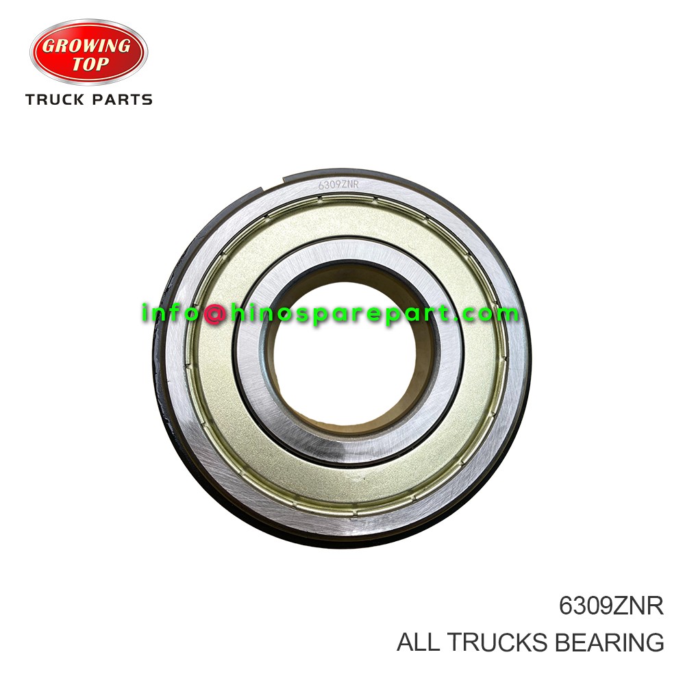 ALL TRUCKS BEARING 6309ZNR