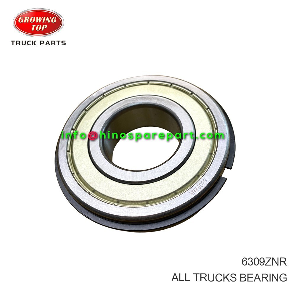 ALL TRUCKS BEARING 6309ZNR