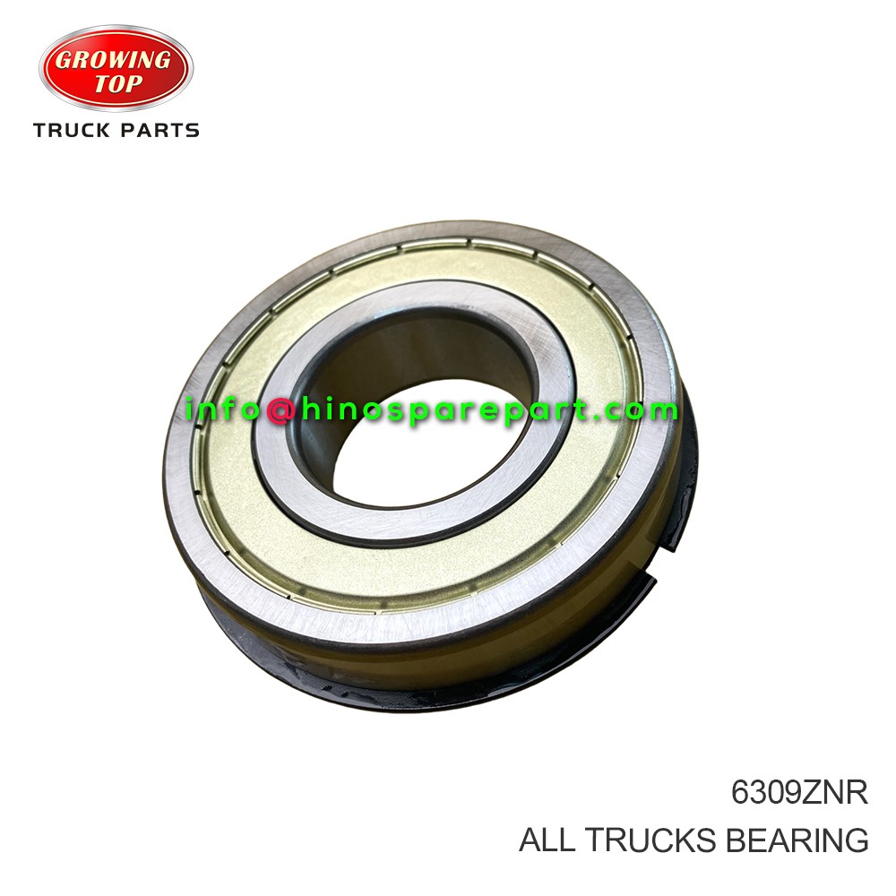 ALL TRUCKS BEARING 6309ZNR