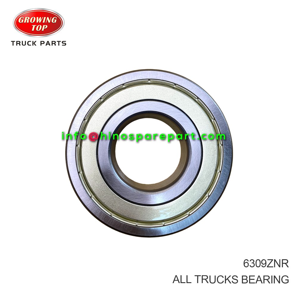 ALL TRUCKS BEARING 6309ZNR
