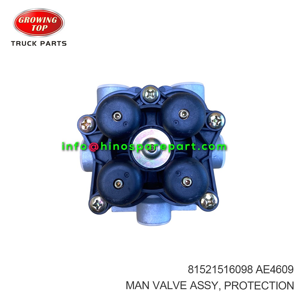 MAN VALVE ASSY PROTECTION 81521516098
